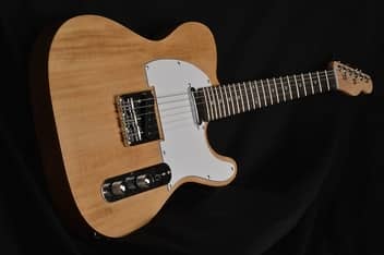 skylark acoustic guitar price